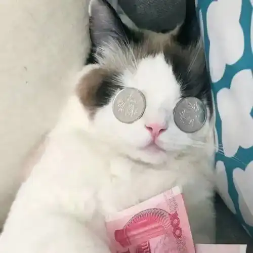  1022021最火微信qq简单可爱呆萌霸气高冷仙女生闺蜜头像新年最潮动漫二次元情侣头像