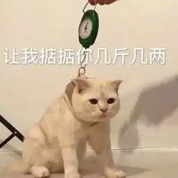  拿什么拯救你枯燥的考研生活当然是表情包