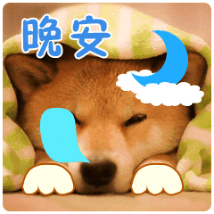  晚安问候表情动态图片大全