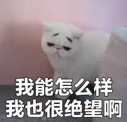  2500元左右手机推荐
