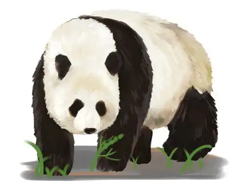  峨眉山的萌宠一个个的都成了精