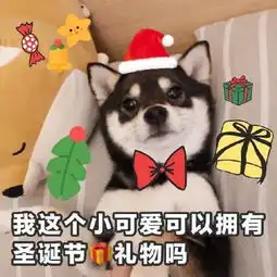  搞笑因为爱占便宜闹出的笑话,真是不值得