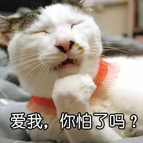  红尘表情包让你们爱啊爱地去酸去吧,我一个狗保持清香就行