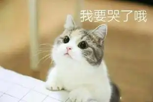 ﻿是时候了图片表情包超萌