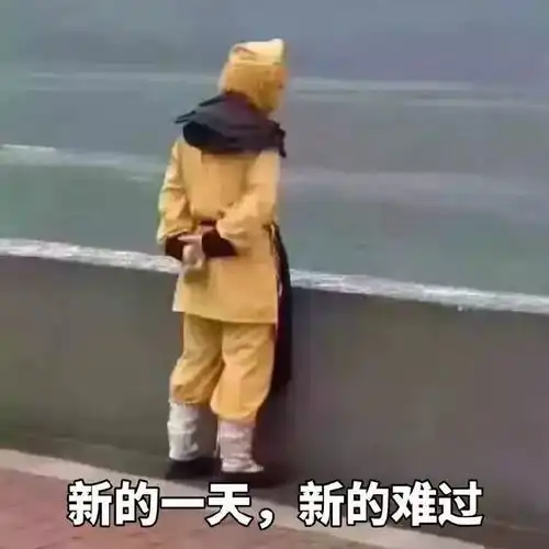 猴子表情包海边走路表情