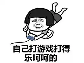  游戏还能抓贼玩家忘关游戏却因此抓住蠢贼网友贼来搞笑的