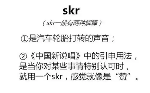 skr到底是什么意思最全skr表情包合集别说话skr就完了