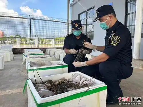  南宁海关关员假期坚守岗位一线守护国门畅通安全