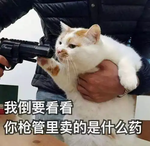  笑劈叉春运火车上怎么什么人都有啊