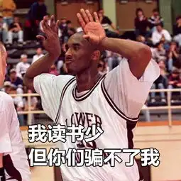  nba表情包