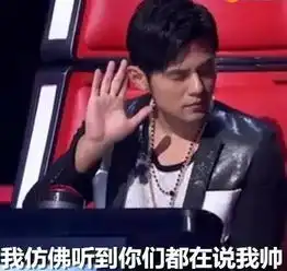  杂谈为什么人们会迷恋中国好声音