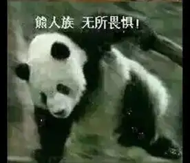 无奈无语的表情包图片大