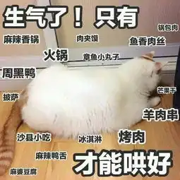 猫表情包gif素材生气