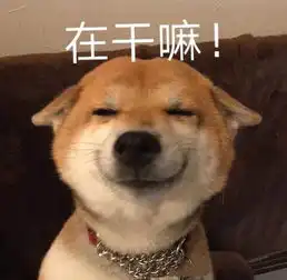  还在买hm这几个平价品牌连欧阳娜娜张子枫都在穿