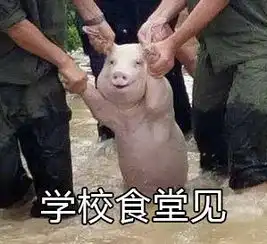  放开我我不要开学表情包我不要开学网红小猪表情包下载乐游网游戏下载
