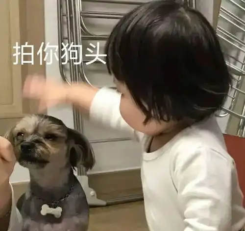  吵架怼人表情包