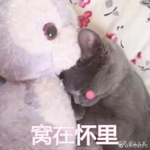  有什么可爱的情侣表情包