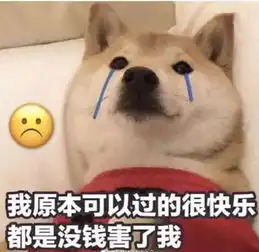 我又没钱表情包我学会