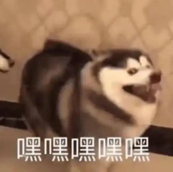 cheese狗子表情包表情包