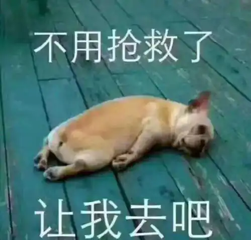 打狗狗表情包兽医