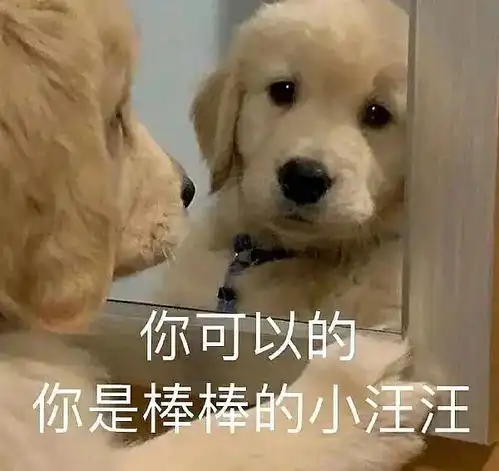  睡午觉睡到懵所有的东西落在系所被拍照下来发在系所小组