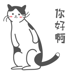  小白小橘的表情包