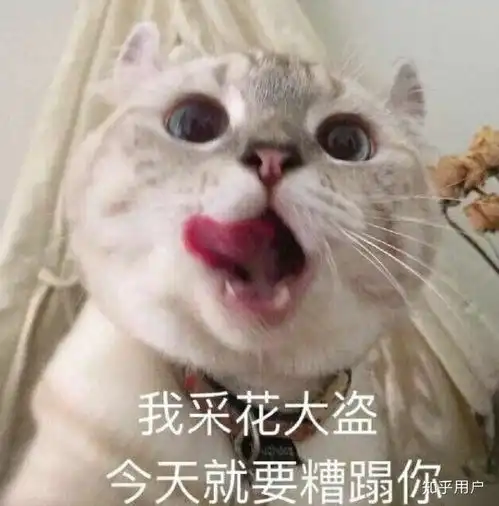 呲溜表情包原图下头
