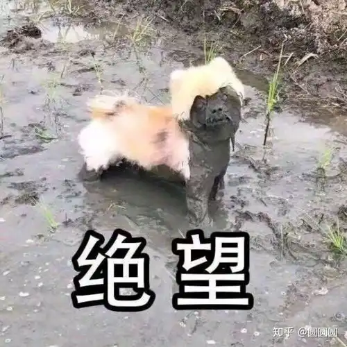  为什么别的同学画的眉毛那么好看,我怎么就是不会画呢