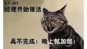  上班喵的一天,不能再苦逼了而这,就是我们的生活