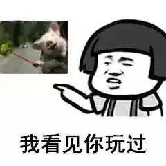  撩妹多点套路多点爱