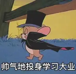  行李箱安排得满满当当