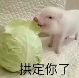  这个七夕土味情话视频我看了七遍太可爱了哈哈哈哈