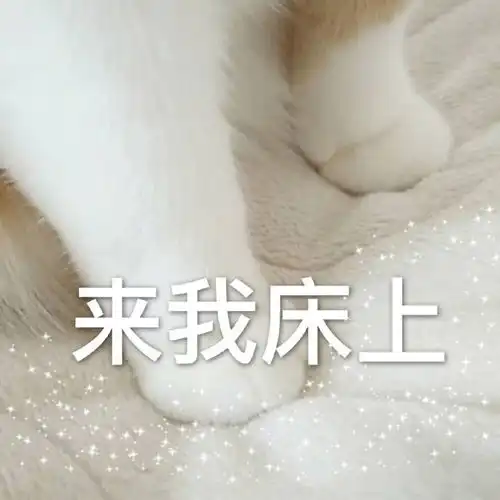  默契表情包我沦陷了,感谢老铁,当场抓获
