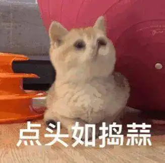  光滑脸蛋你也可以,你也可以,琦琦教你祛各色痘印