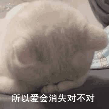  聊天斗图表情包i发出猛男的声音