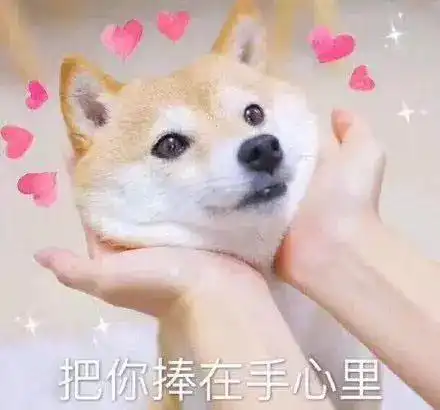  表情包在线等一个缘分