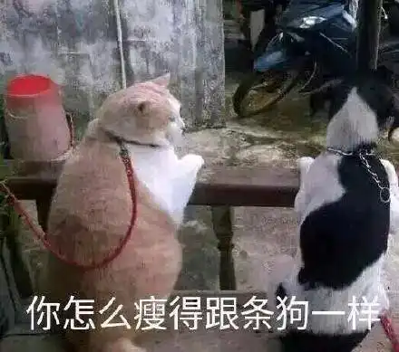  搞笑gif段子媳妇说在桌子上给我留了一半葡萄