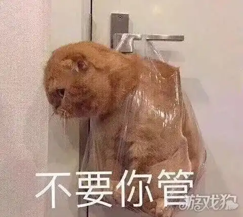  八卦天气凉了我想带你去网吧偷耳机