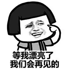  其实布拉格除了天文钟和查理大桥,还有伏尔塔瓦河上的白胖纸们哟