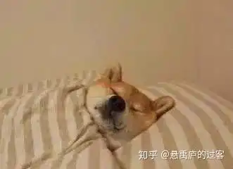  你们那边的中国农业银行有要求要下载电子银行app才会帮你办银行卡吗