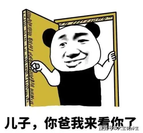 够硬表情包是什么意思长