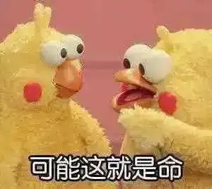  今天这小凉风还嗖嗖的,明天就立夏了