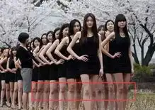 搞笑跪地求饶表情包gif
