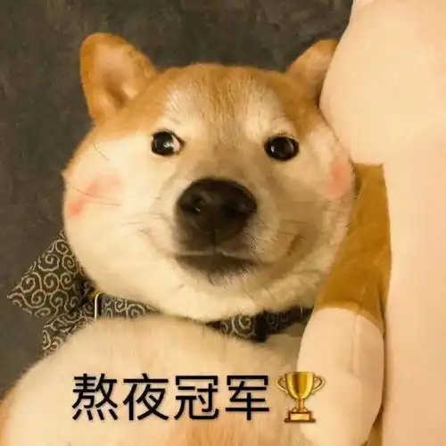  乱七八糟的沙雕表情包,我可太喜欢了