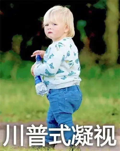  英国皇室迷之表情包属性,男女老少齐上阵
