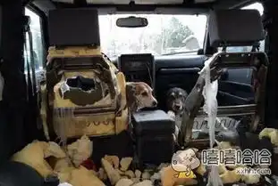  活动抽到的妹纸,赶紧抱回家