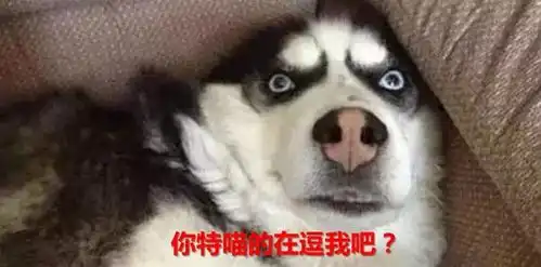  小熊余额宝有很大的风险