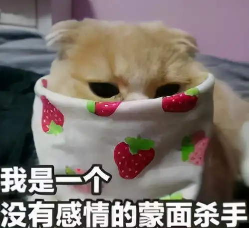感情修复表情包纸尿裤