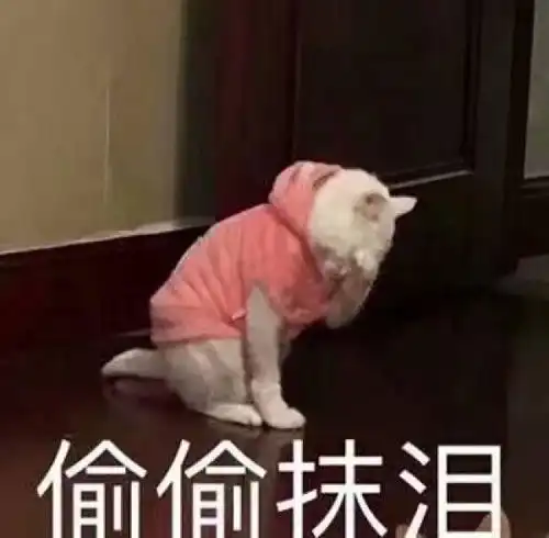  收藏夹