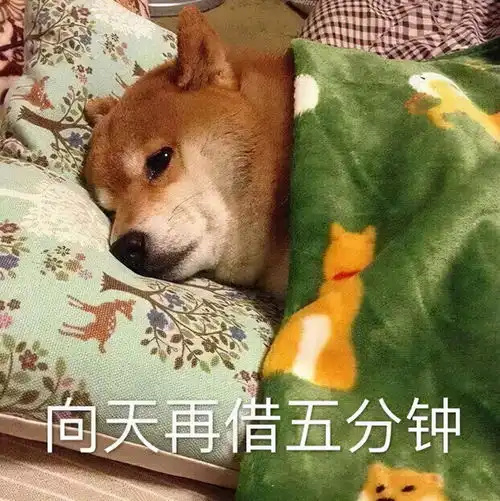  颠覆认知央视专家表示睡得晚并不一定算熬夜了